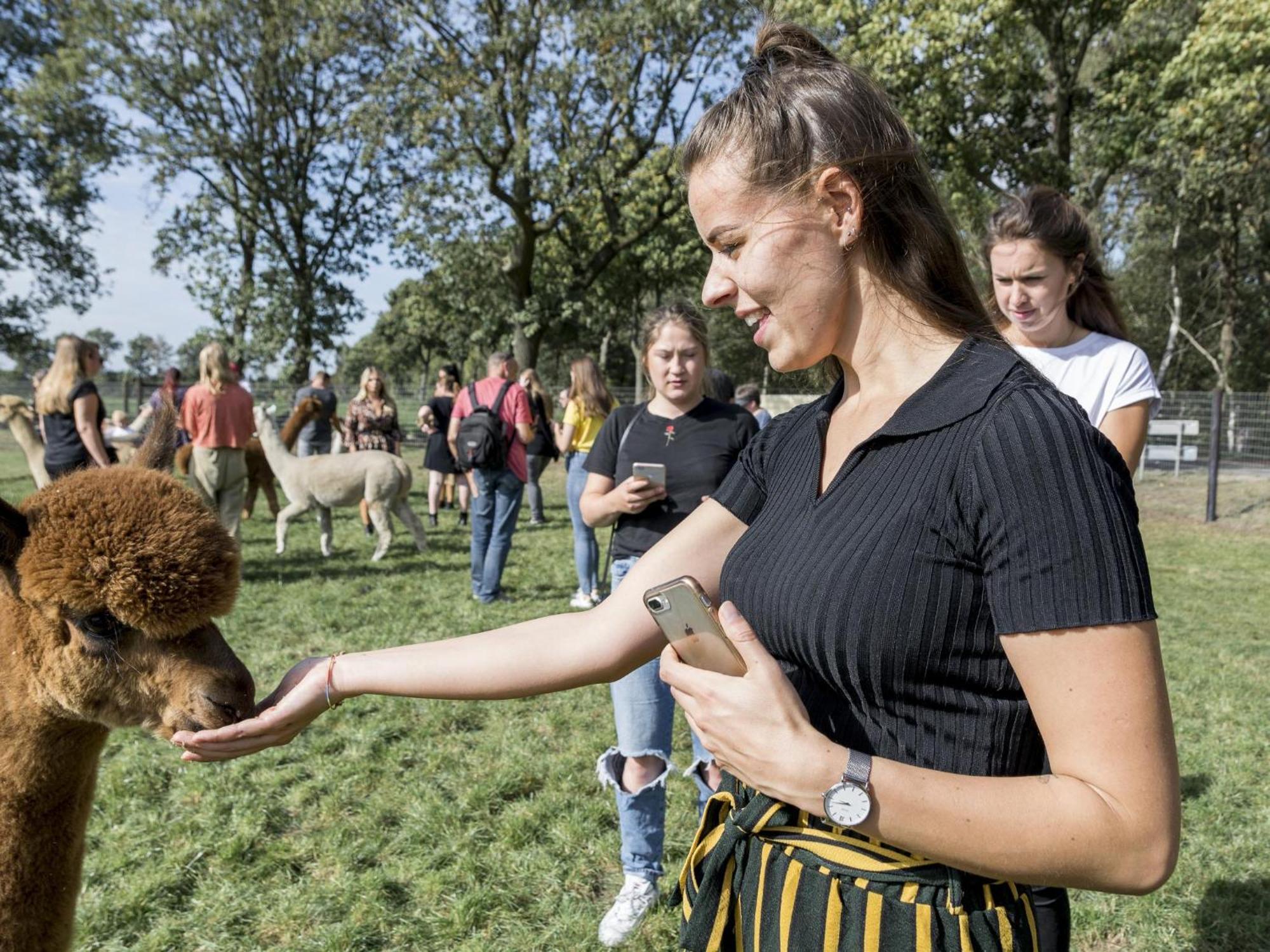 Alpacafarm Vorstenbosch Екстериор снимка