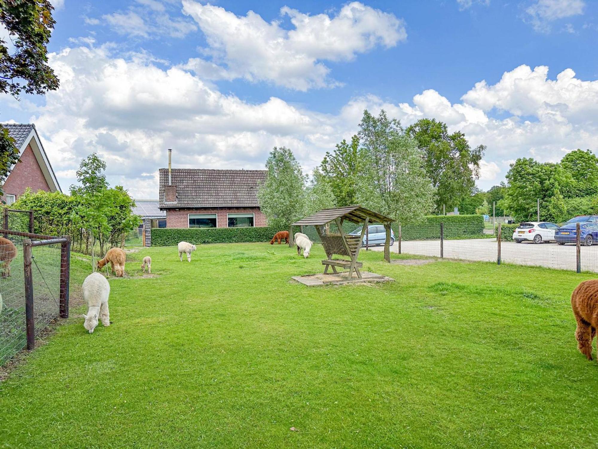 Alpacafarm Vorstenbosch Екстериор снимка