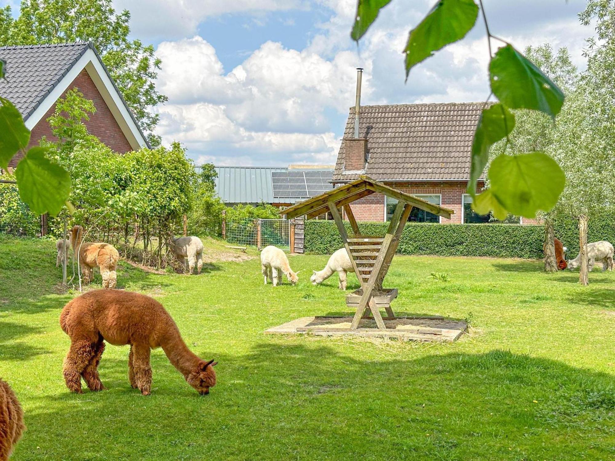 Alpacafarm Vorstenbosch Екстериор снимка