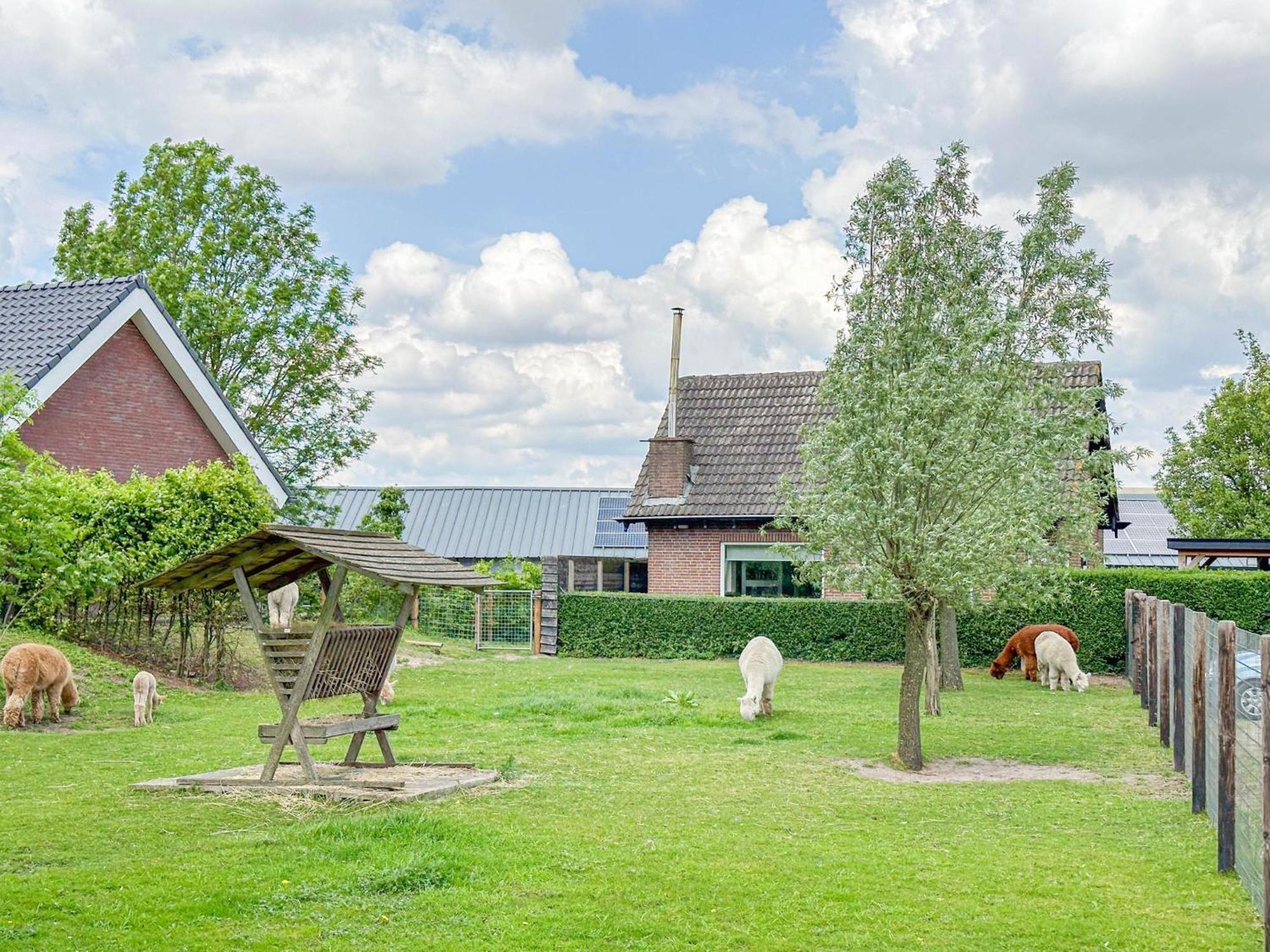 Alpacafarm Vorstenbosch Екстериор снимка
