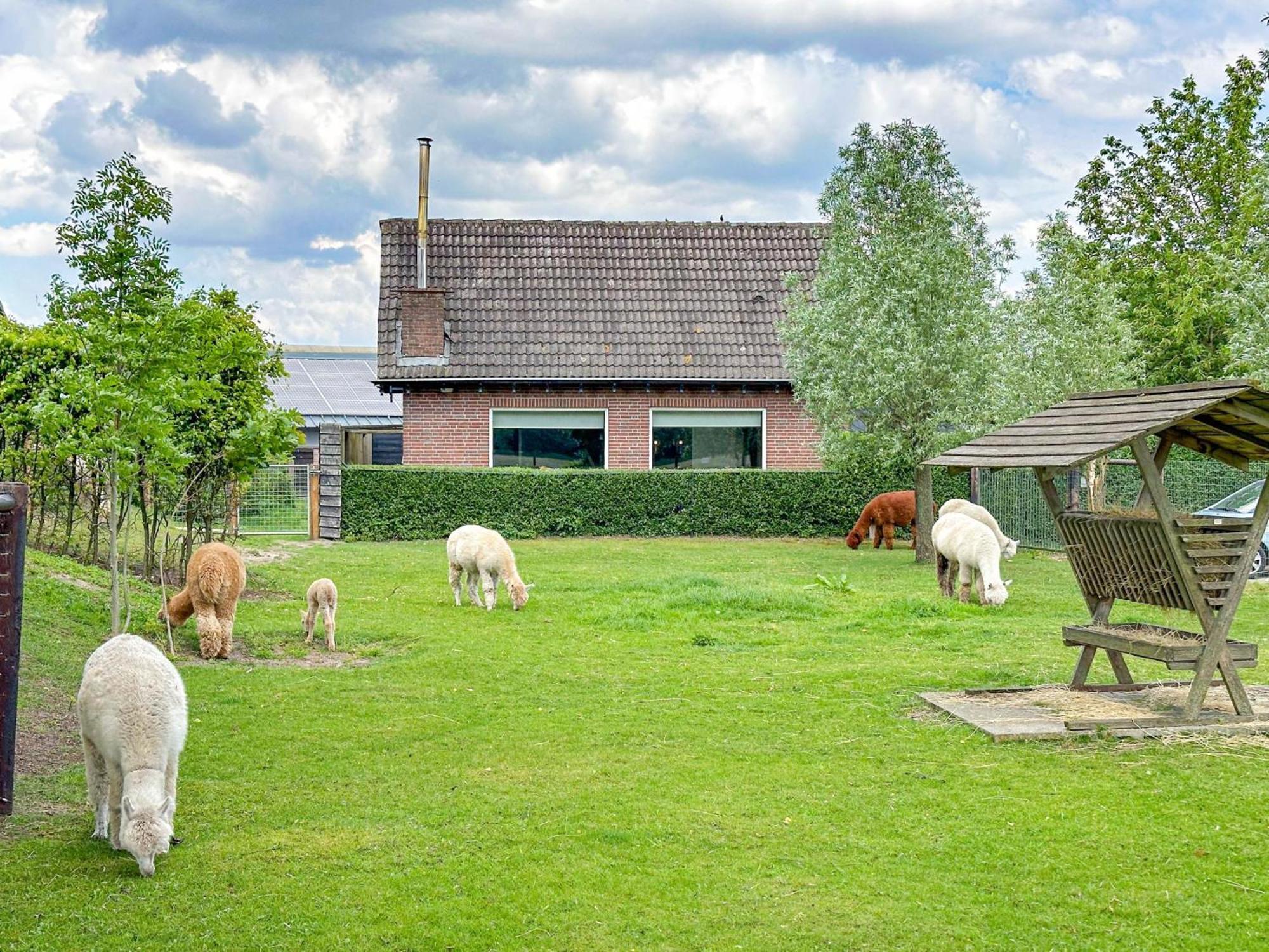 Alpacafarm Vorstenbosch Екстериор снимка